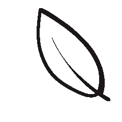 Leaf Animation Image