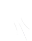 Shape Animation