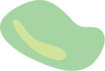 Shape Animation
